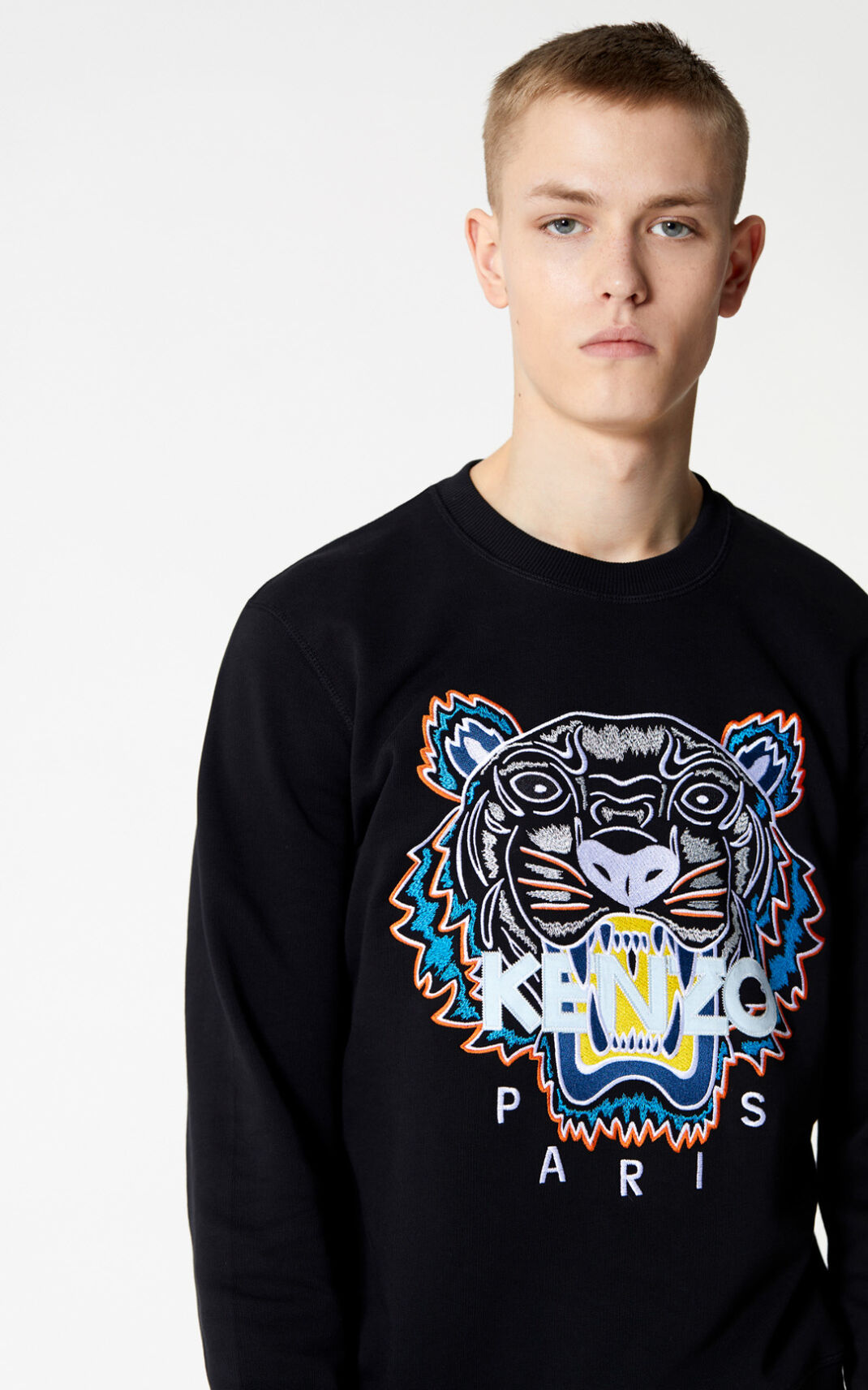 Kenzo Tiger Sweatshirt Erkek Siyah | 6814-NJWMF